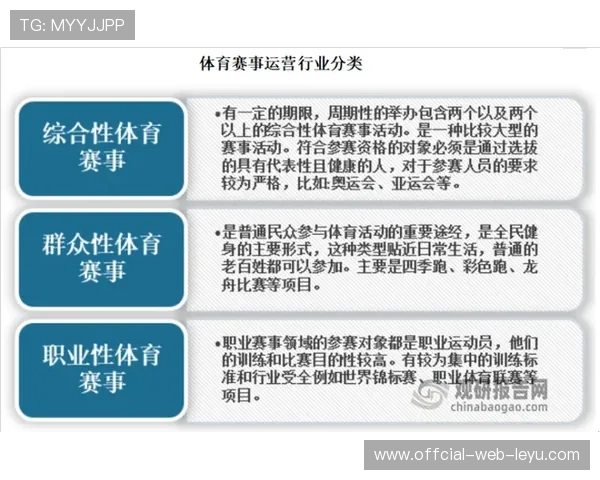维尔茨技术稳定性与比赛影响力解析