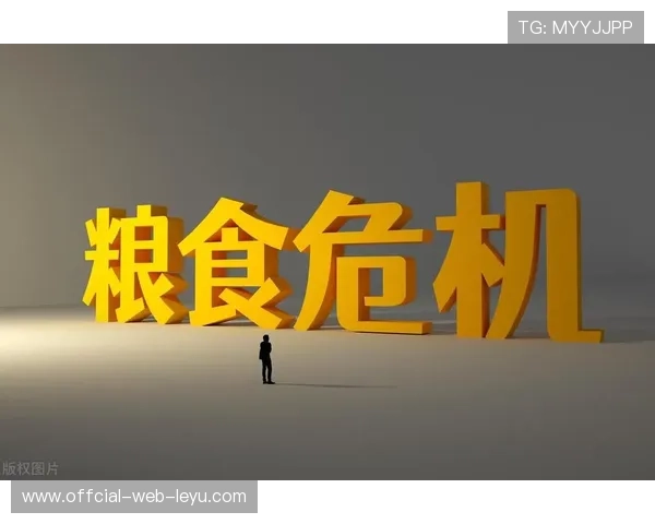 从争冠到分崩离析：山东泰山的战术危机背后，核心体系为何失衡？